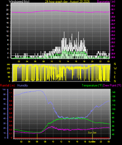 24 Hour Graph for Day 20